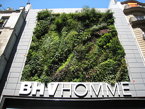 http://www.thbz.org/images/divers/jardins_verticaux/bhv10.jpg