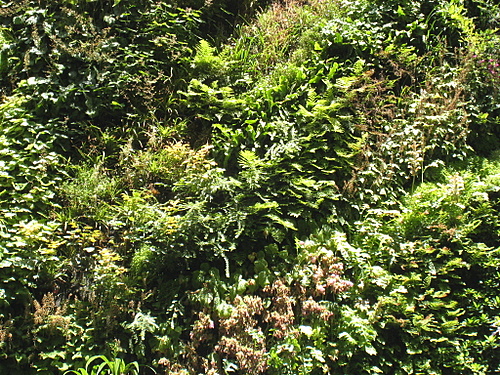 http://www.thbz.org/images/divers/jardins_verticaux/bhv4.jpg