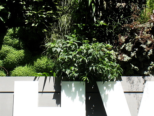 http://www.thbz.org/images/divers/jardins_verticaux/bhv7.jpg