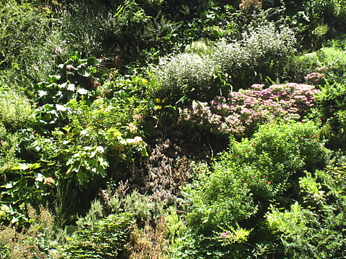 http://www.thbz.org/images/divers/jardins_verticaux/bhv8.jpg