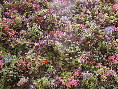 http://www.thbz.org/images/divers/jardins_verticaux/langevin2.jpg
