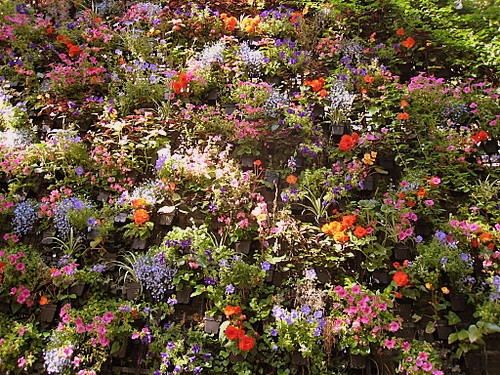 http://www.thbz.org/images/divers/jardins_verticaux/langevin4.jpg