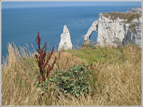 http://www.thbz.org/images/france/etretat2008/aiguille-arche-2.jpg