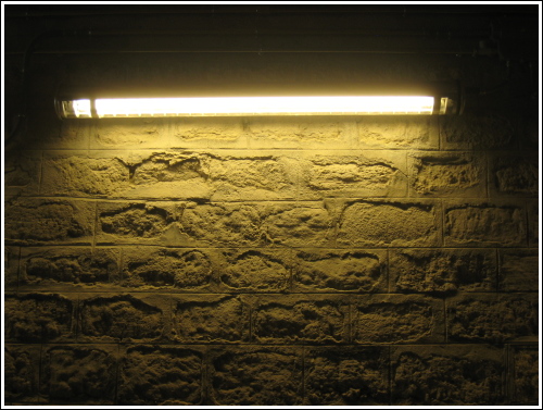 http://www.thbz.org/images/paris/13/rue-watt/IMG_2923.JPG-500.jpg