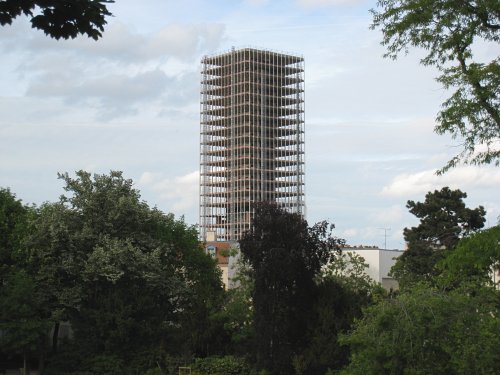http://www.thbz.org/images/paris/5/jussieu-plantes1.jpg